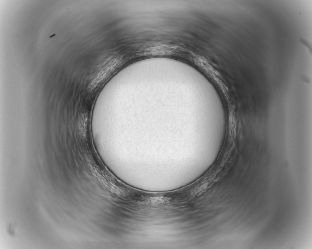 X0000101420153200807280946