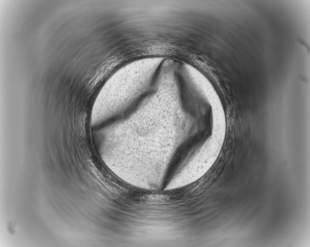 X0000101420154200807280946