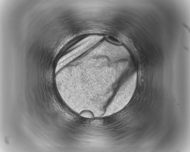 X0000101420156200807280946