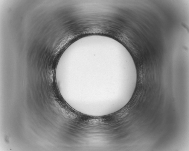 X0000101420160200807280946