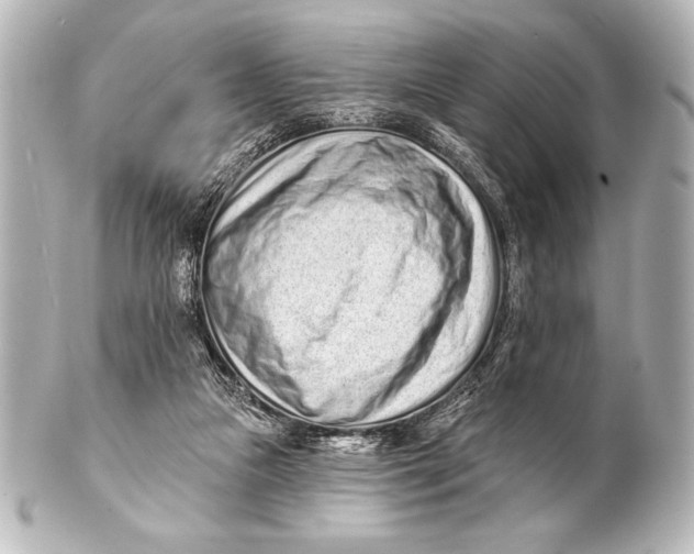 X0000101420161200807280946