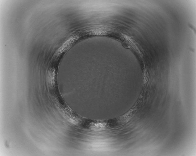 X0000101420163200807280946