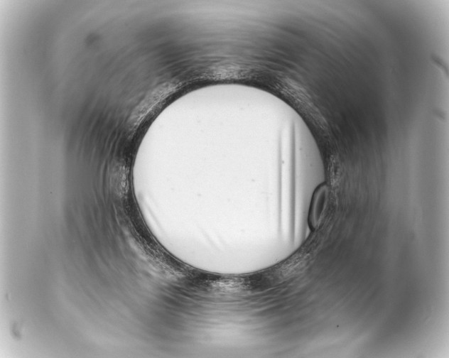 X0000101420164200807280946