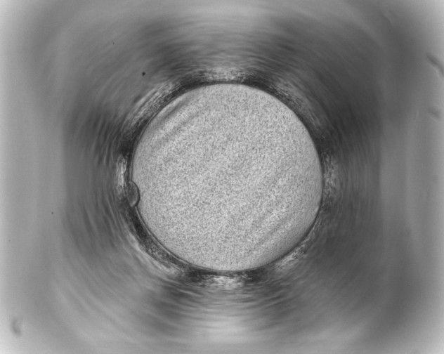 X0000101420166200807280946