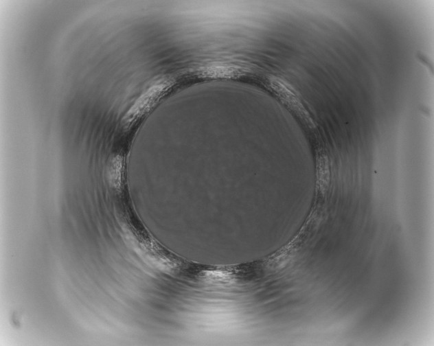 X0000101420167200807280946