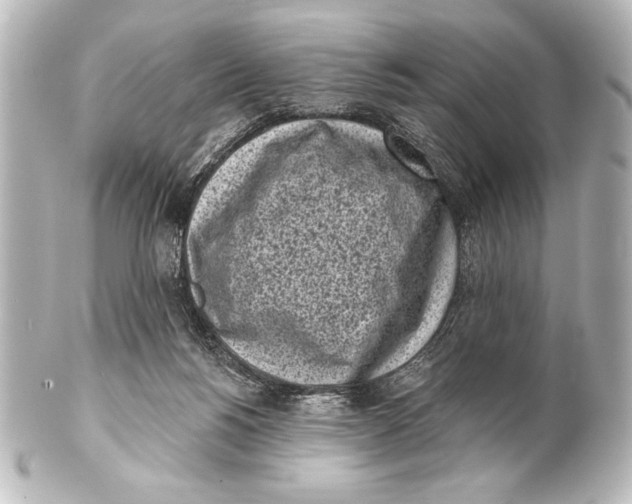 X0000101420168200807280946