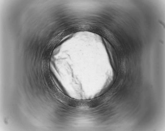 X0000101420169200807280946