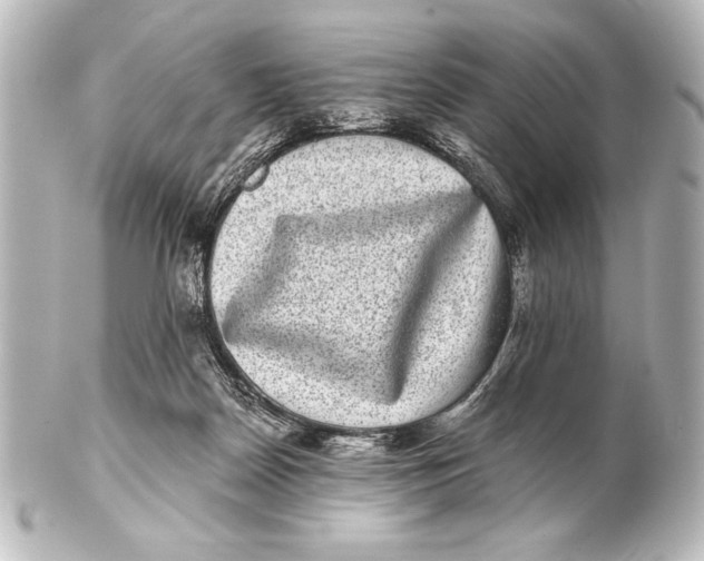 X0000101420170200807280946