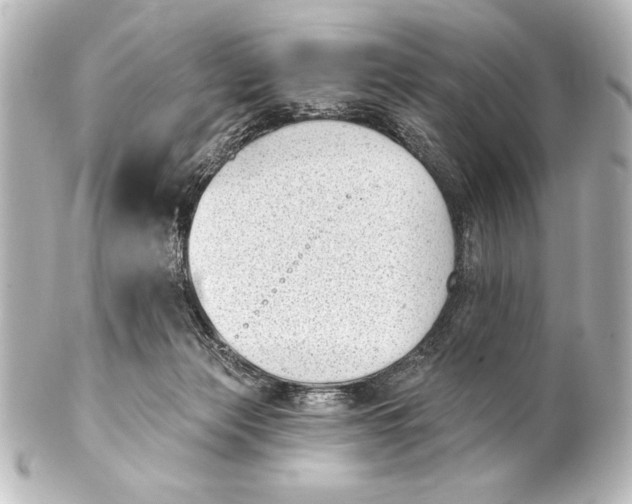 X0000101420173200807280946