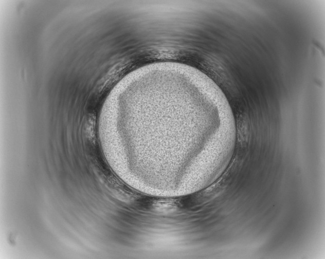 X0000101420175200807280946