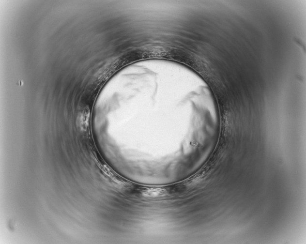 X0000101420177200807280946