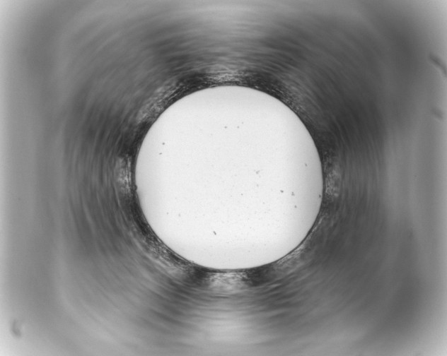 X0000101420179200807280946