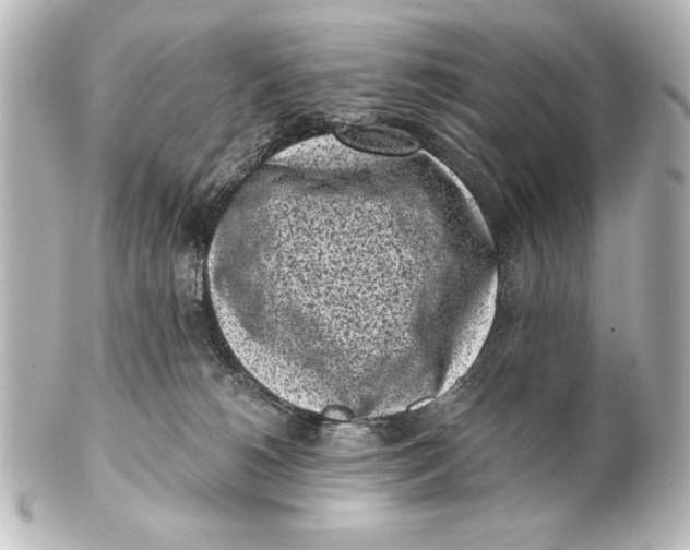X0000101420180200807280946