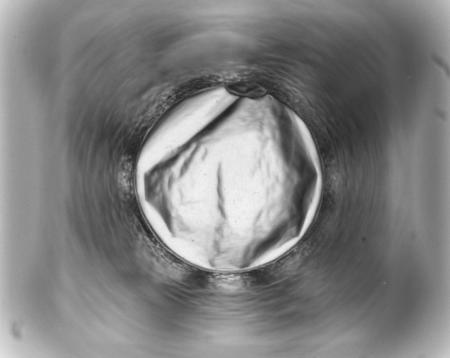 X0000101420181200807280946