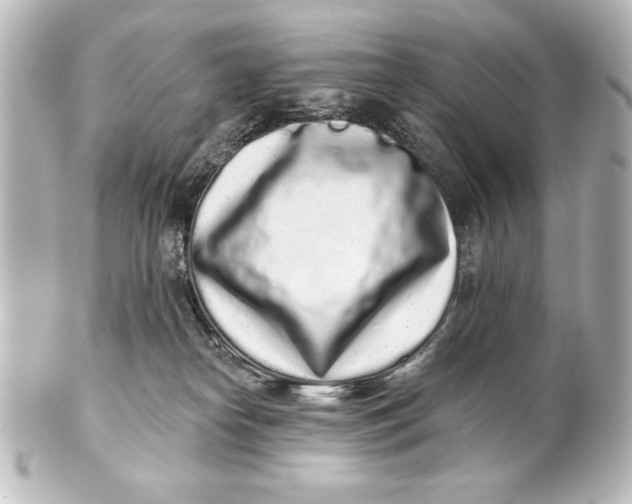 X0000101420182200807280946