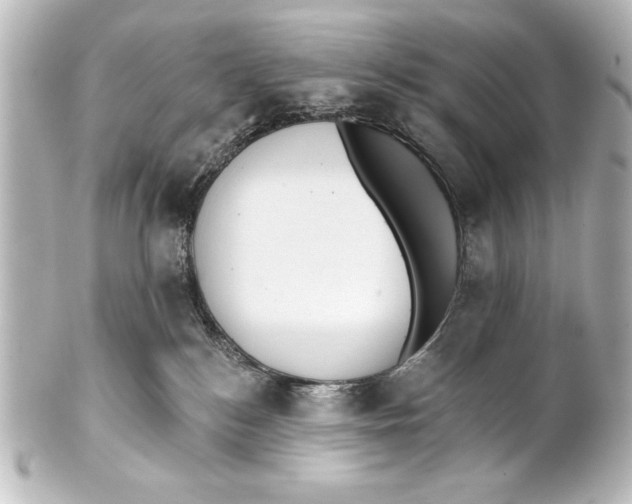 X0000101420184200807280946