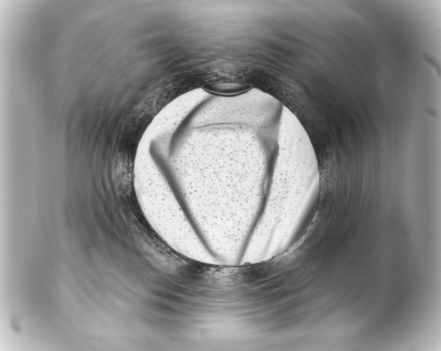 X0000101420186200807280946