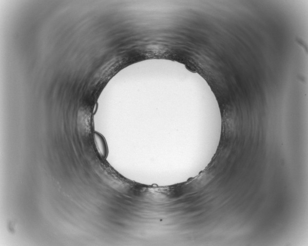X0000101420188200807280946