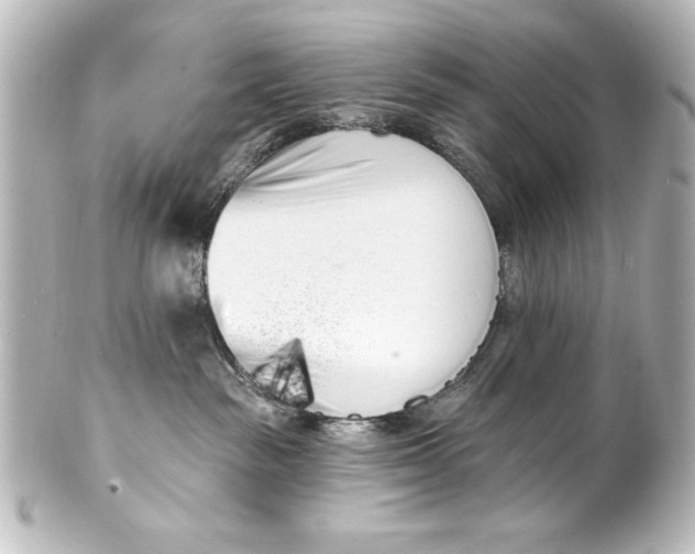 X0000101420189200807280946