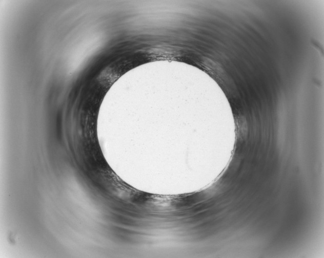 X0000101420190200807280946