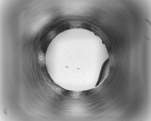 X0000101420191200807280946