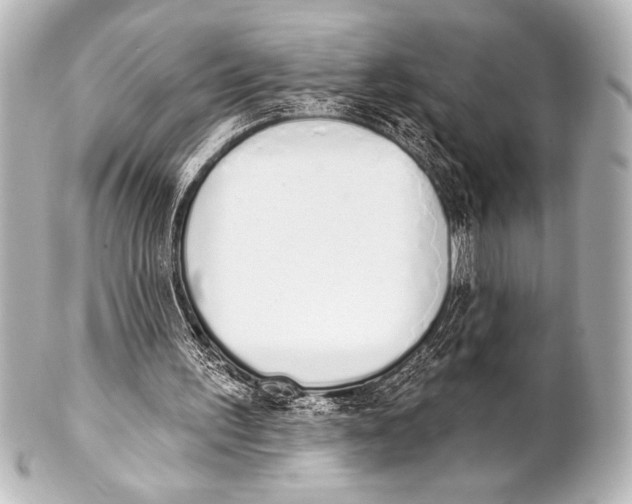 X0000101420195200807280946