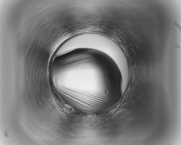 X0000101420196200807280946