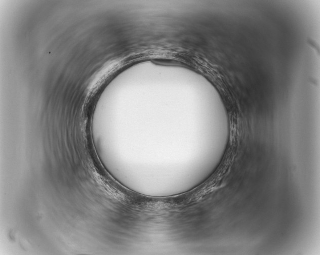 X0000101420197200807280946