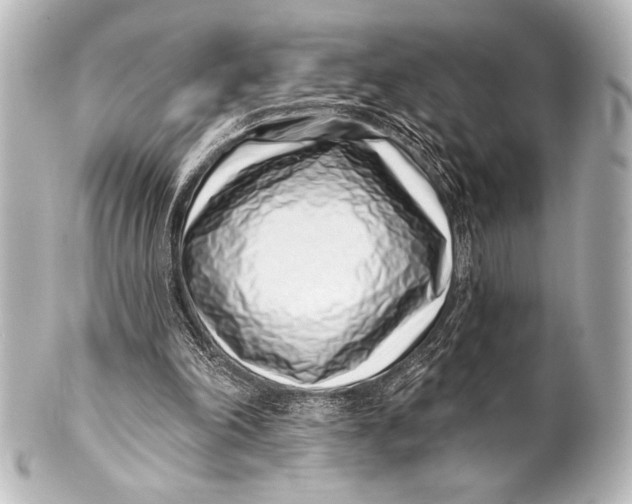 X0000101420198200807280946