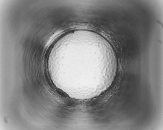 X0000101420199200807280946