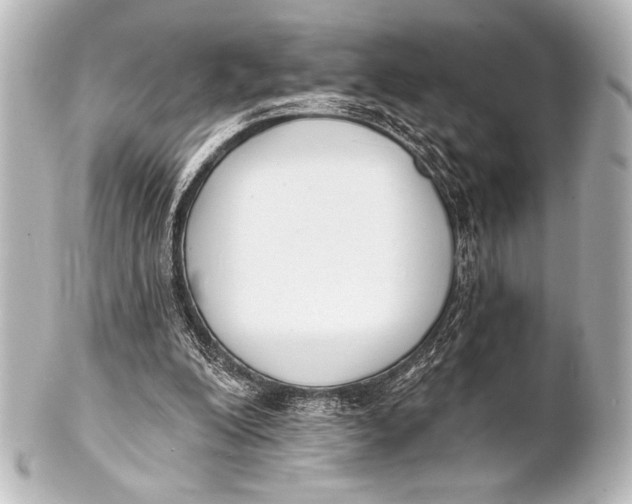 X0000101420200200807280946