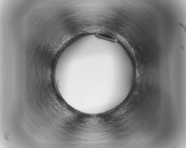 X0000101420201200807280946