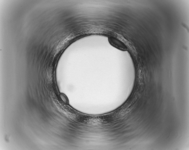 X0000101420203200807280946