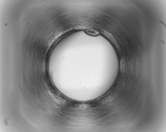 X0000101420204200807280945