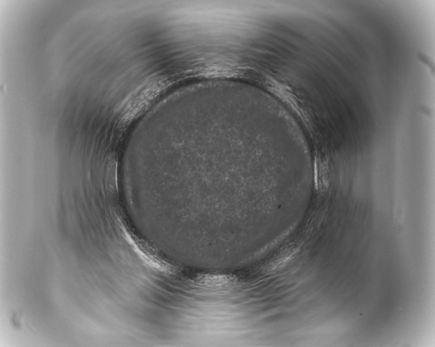 X0000101420205200807280945