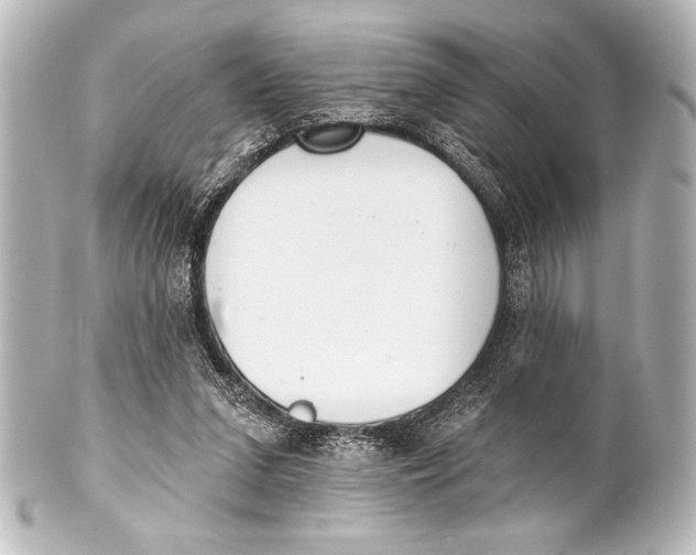 X0000101420207200807280945