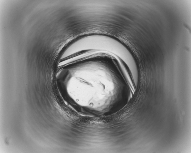 X0000101420208200807280945