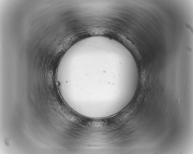 X0000101420209200807280945