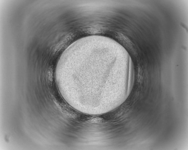 X0000101420210200807280945