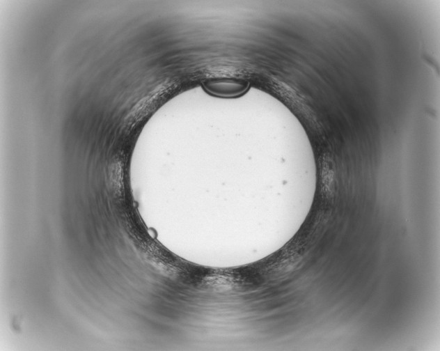 X0000101420211200807280945
