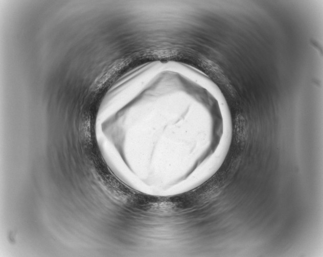 X0000101420212200807280945