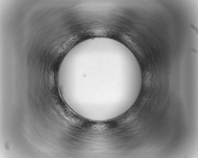 X0000101420213200807280945