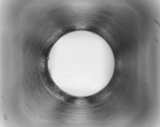 X0000101420215200807280945