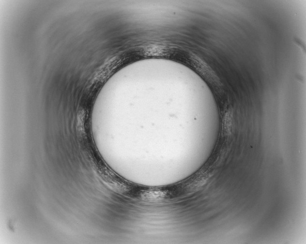 X0000101420217200807280945