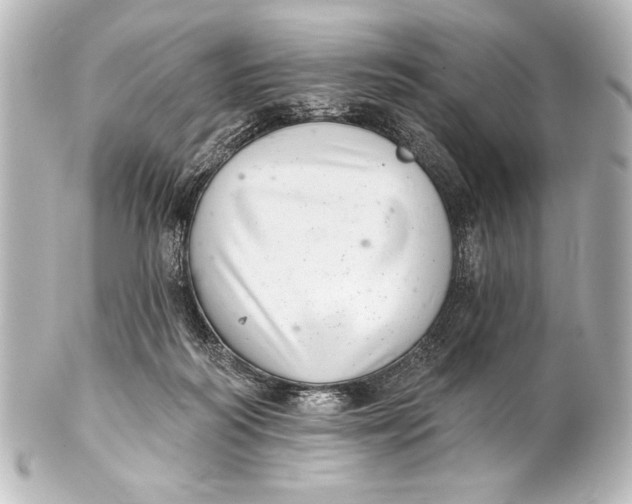X0000101420218200807280945