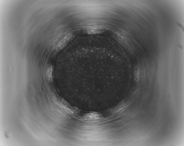 X0000101420219200807280945