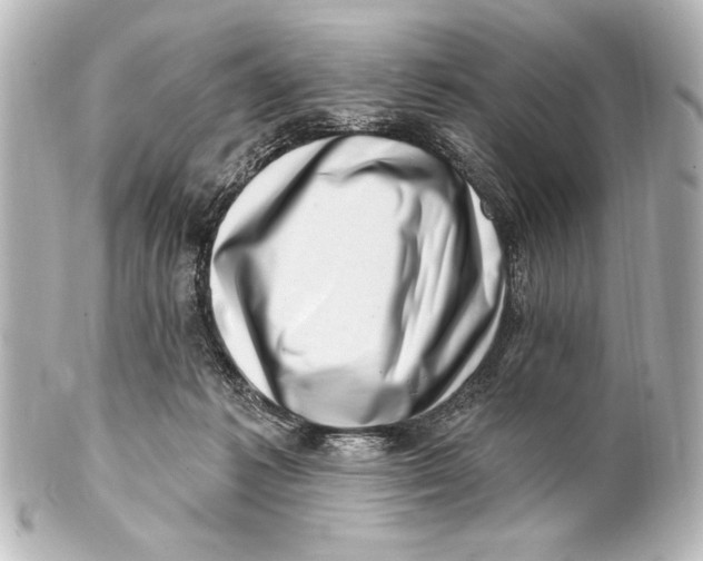 X0000101420221200807280945