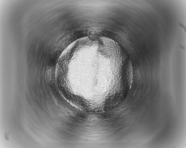 X0000101420222200807280945