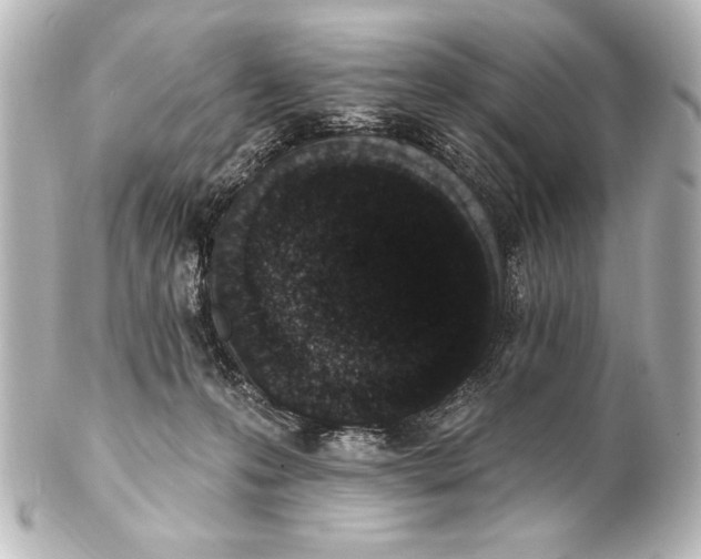 X0000101420223200807280945