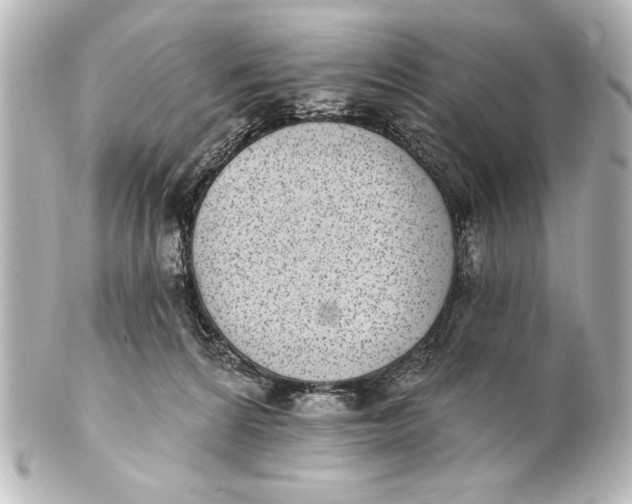 X0000101420224200807280945